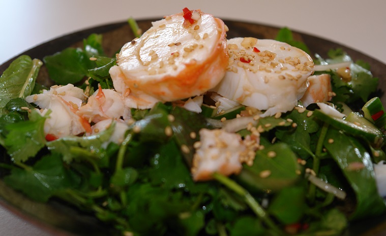 Rock Lobster & Herb Salad with Asian Dressing