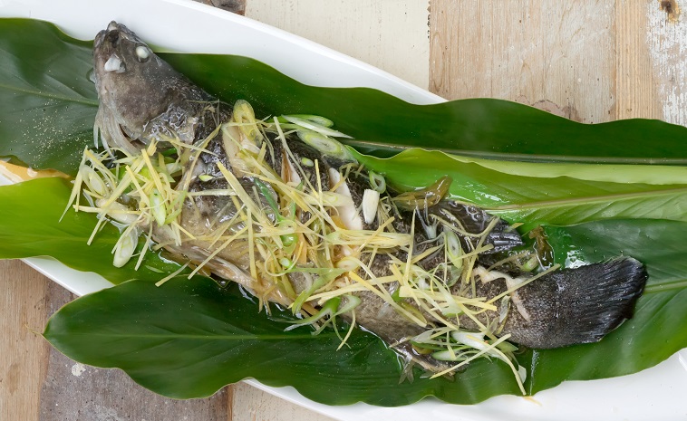Steamed Chinese-style Whole Murray Cod